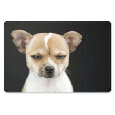 Mauspad - Hund - Haustiere - Porträt - 27x18 cm