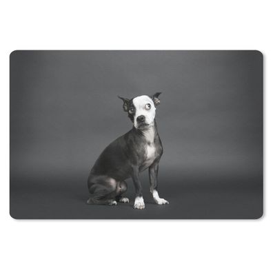 Mauspad - Hund - Spot - Porträt - 27x18 cm