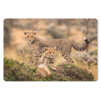 Mauspad - Leopard - Jungtier - Natur - 27x18 cm