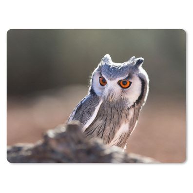 Mauspad - Eule - Makro - Tier - 40x30 cm