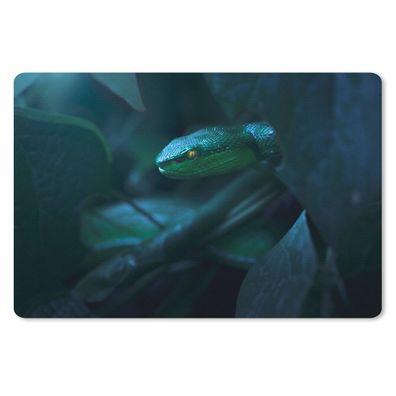 Mauspad - Schlange - Makro - Holz - 27x18 cm