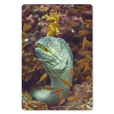 Mauspad - Fische - Korallen - Ozean - 18x27 cm
