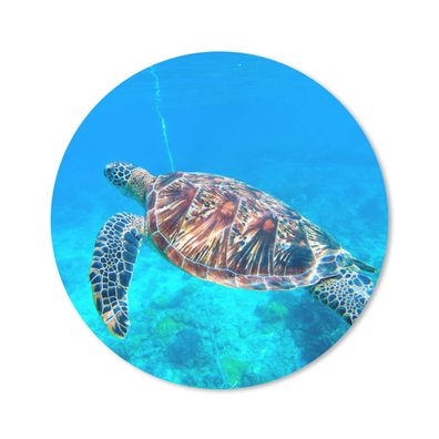 Mauspad - Meer - Schildkröte - Wasser - 40x40 cm