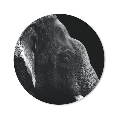 Mauspad - Elefant auf schwarzem Hintergrund - 20x20 cm