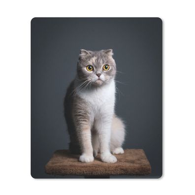 Mauspad - Katze - Haustiere - Licht - 19x23 cm