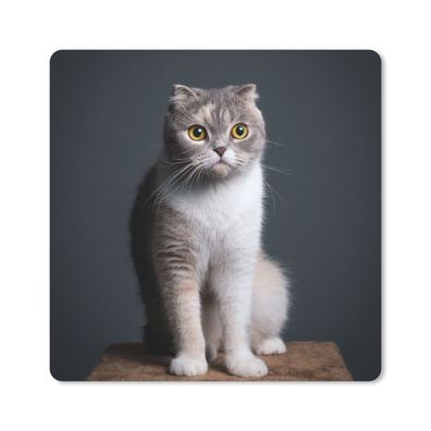 Mauspad - Katze - Haustiere - Licht - 30x30 cm