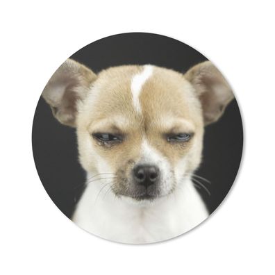 Mauspad - Hund - Haustiere - Porträt - 50x50 cm