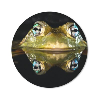 Mauspad - Frosch - Augen - Porträt - 50x50 cm
