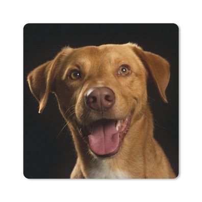 Mauspad - Hund - Haustiere - Porträt - 30x30 cm
