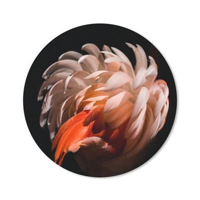 Mauspad - Flamingo - Federn - Licht - Makro - 40x40 cm