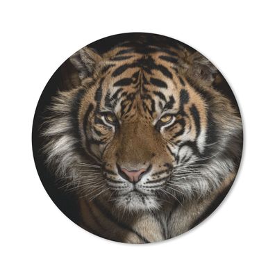 Mauspad - Tiger - Wilde Tiere - Porträt - 50x50 cm