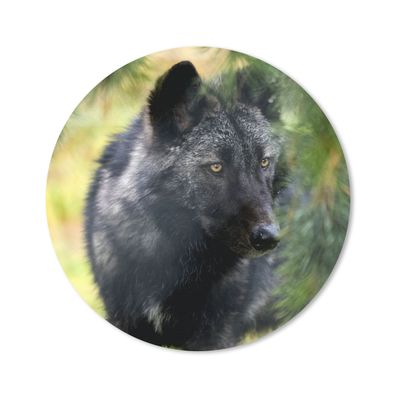 Mauspad - Wolf - Makro - Blätter - 50x50 cm