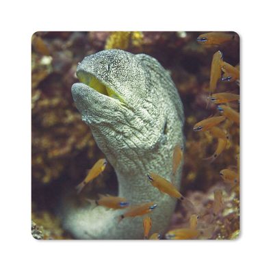 Mauspad - Fische - Korallen - Ozean - 30x30 cm