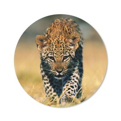 Mauspad - Leopard - Makro - Gras - 50x50 cm