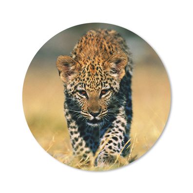 Mauspad - Leopard - Makro - Gras - 40x40 cm
