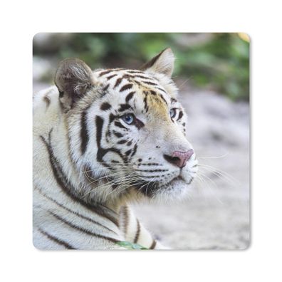 Mauspad - Tiger - Weiß - Sand - 30x30 cm