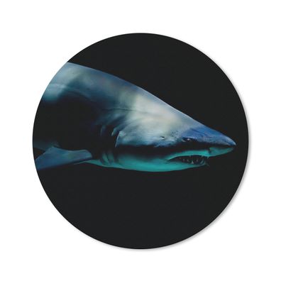 Mauspad - Hai - Makro - Wasser - 40x40 cm