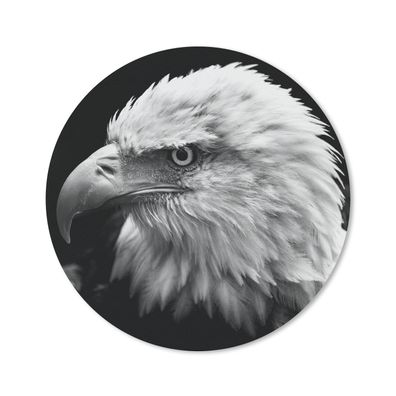 Mauspad - Eagle - Makro - Schwarz - 30x30 cm