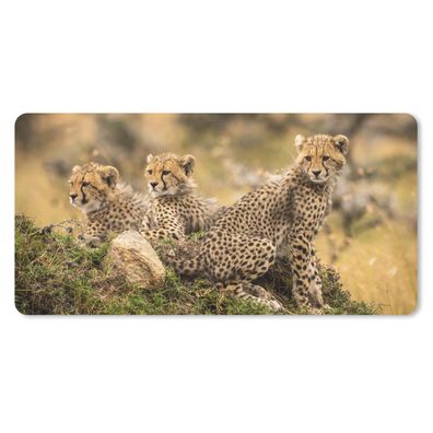 Schreibtischunterlage - Leoparden - Wald - Tier - 80x40 cm - Mauspad
