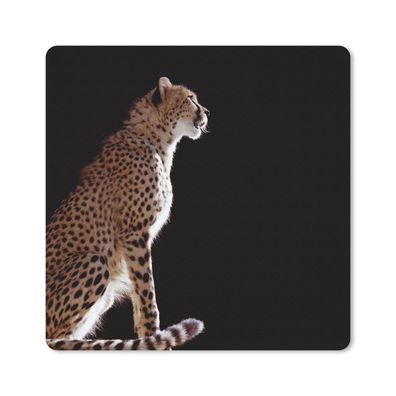 Mauspad - Gepard - Tiere - Licht - 30x30 cm
