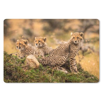 Schreibtischunterlage - Leopard - Wald - Tier - 60x40 cm - Mauspad