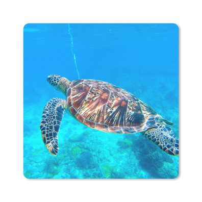 Mauspad - Meer - Schildkröte - Wasser - 30x30 cm