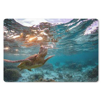 Schreibtischunterlage - Meer - Schildkröte - Farben - 60x40 cm - Mauspad