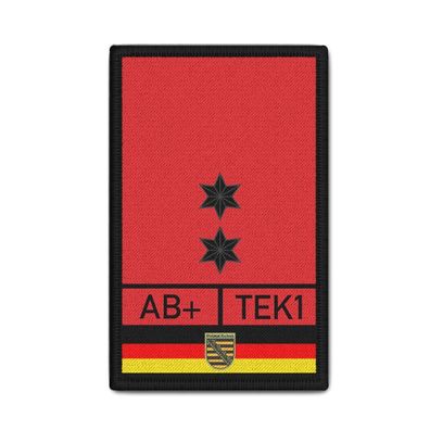Rank Patch Oberbrandmeister Sachsen Berufsfeuerwehr Dienst-Grad-Abzeichen #39210