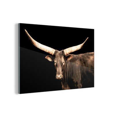 Glasbild - 90x60 cm - Wandkunst - Kuh - Watussi - Afrika