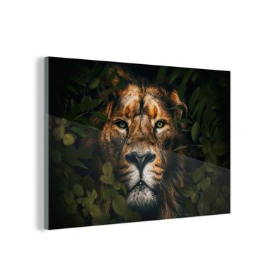 Glasbild - 90x60 cm - Wandkunst - Dschungel - Löwe - Tiere - Blätter