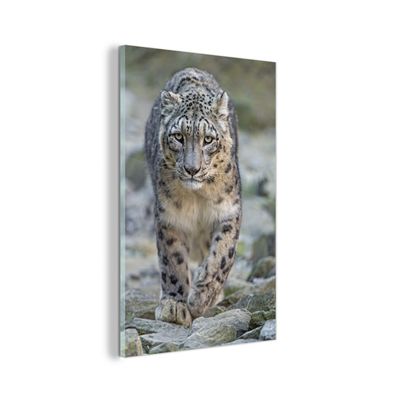 Glasbild - 40x60 cm - Wandkunst - Leopard - Steine - Spaziergang