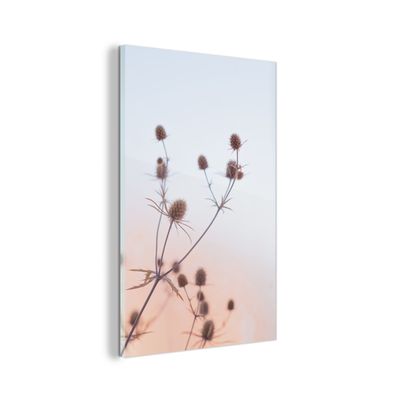 Glasbild - 40x60 cm - Wandkunst - Getrocknete Blumen - Pastell - Himmel