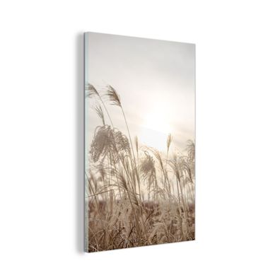 Glasbild - 100x150 cm - Wandkunst - Schilf - Stillleben - Himmel