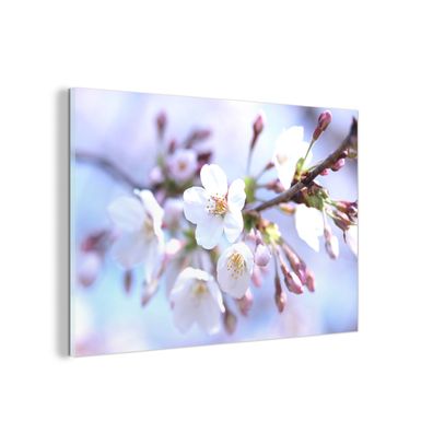 Glasbild - 120x80 cm - Wandkunst - Blumen - Sakura - Zweig