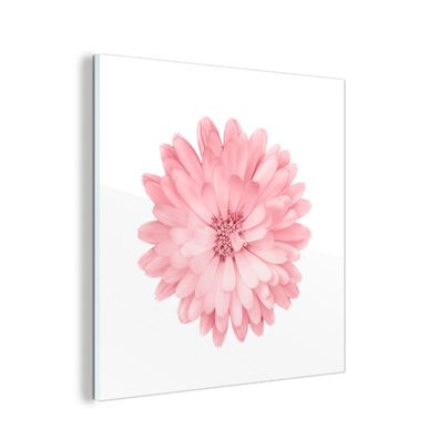 Glasbild - 90x90 cm - Wandkunst - Blumen - Rosa - Kamille