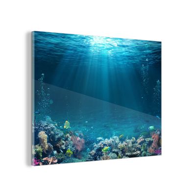 Glasbild - 80x60 cm - Wandkunst - Ozean - Fisch - Koralle