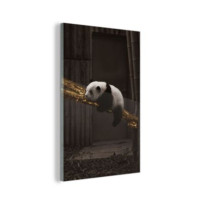 Glasbild - 100x150 cm - Wandkunst - Panda - Gold - Schwarz