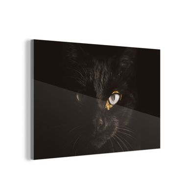 Glasbild - 150x100 cm - Wandkunst - Katze - Gold - Schwarz