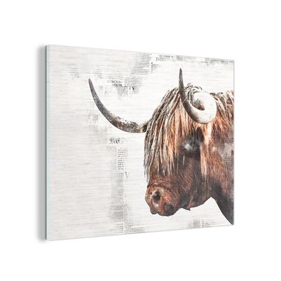 Glasbild - 120x90 cm - Wandkunst - Schottischer Highlander - Tiere - Bleistift