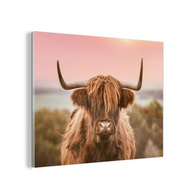 Glasbild - 120x90 cm - Wandkunst - Schottischer Highlander - Kuh - Horizont