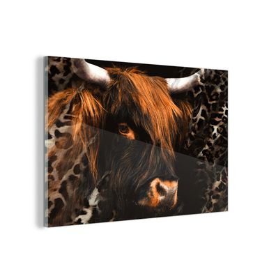 Glasbild - 90x60 cm - Wandkunst - Schottischer Highlander - Tiere - Panther Druck