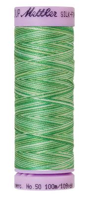 Mettler Silk Finish Cotton Multi 50, zum Nähen, Quilten, Sticken, 100 m, Fb 9821