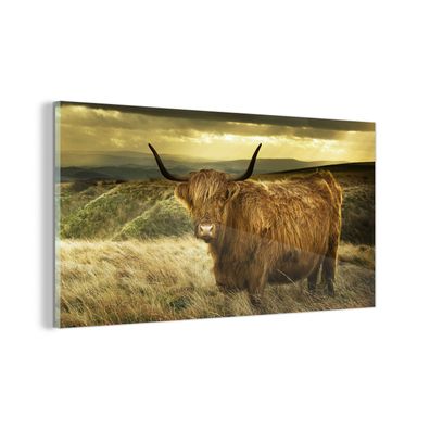 Glasbild - 40x20 cm - Wandkunst - Schottische Highlander - Licht - Natur