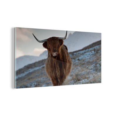 Glasbild - 160x80 cm - Wandkunst - Schottischer Hochländer - Landschaft - Schottland