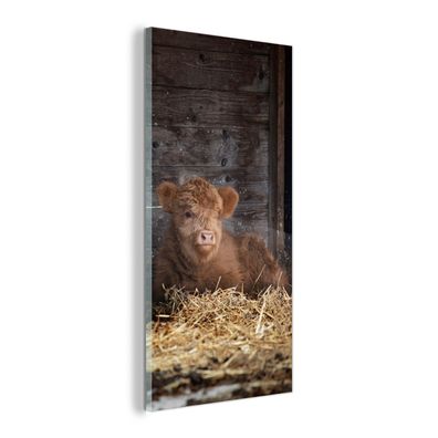 Glasbild - 80x160 cm - Wandkunst - Schottischer Highlander - Bauernhof - Stroh