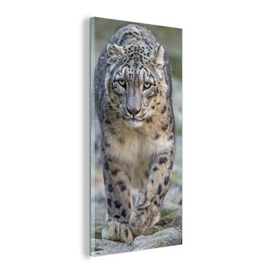 Glasbild - 80x160 cm - Wandkunst - Leopard - Steine - Spaziergang