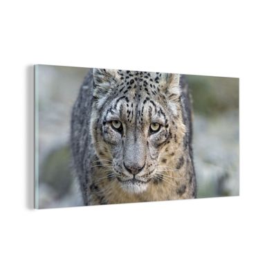 Glasbild - 80x40 cm - Wandkunst - Leopard - Steine - Spaziergang