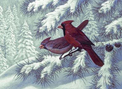 Malen nach Zahlen Rote Cardinal Vögel im Schnee