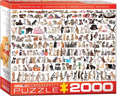 EuroGraphics 8220-0580 Die Welt der Katzen 2000-teiliges Puzzle
