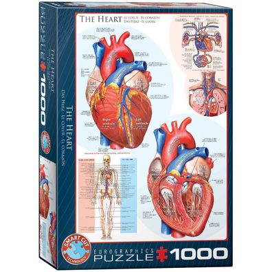 EuroGraphics 6000-0257 Das Herz 1000-Teile Puzzle